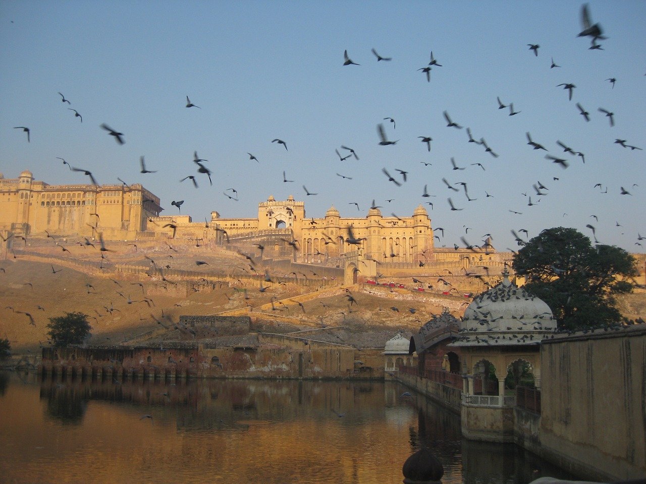 Jaipur amer fort